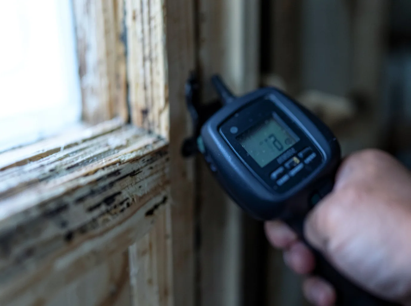 Moisture Inspection And Documentation in Clymer, NY